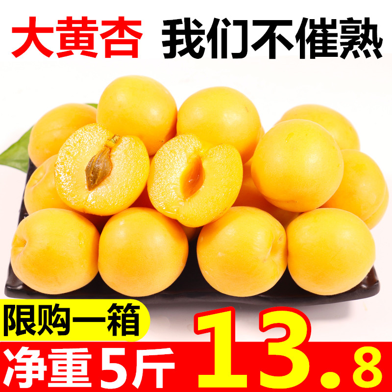 现摘陕西大黄杏5斤新鲜水果应当季整箱时令鲜杏孕妇酸甜杏子包邮