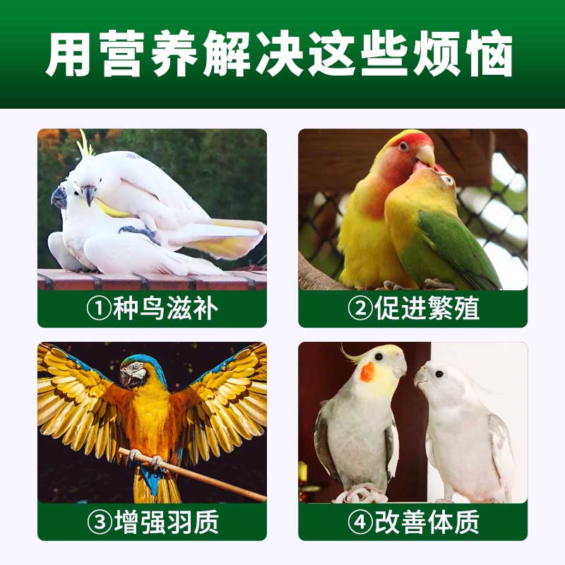 鹦鹉鸟用多效繁殖油促进种鸟芦丁鸡种鸽交配生育酚营养保健品非药