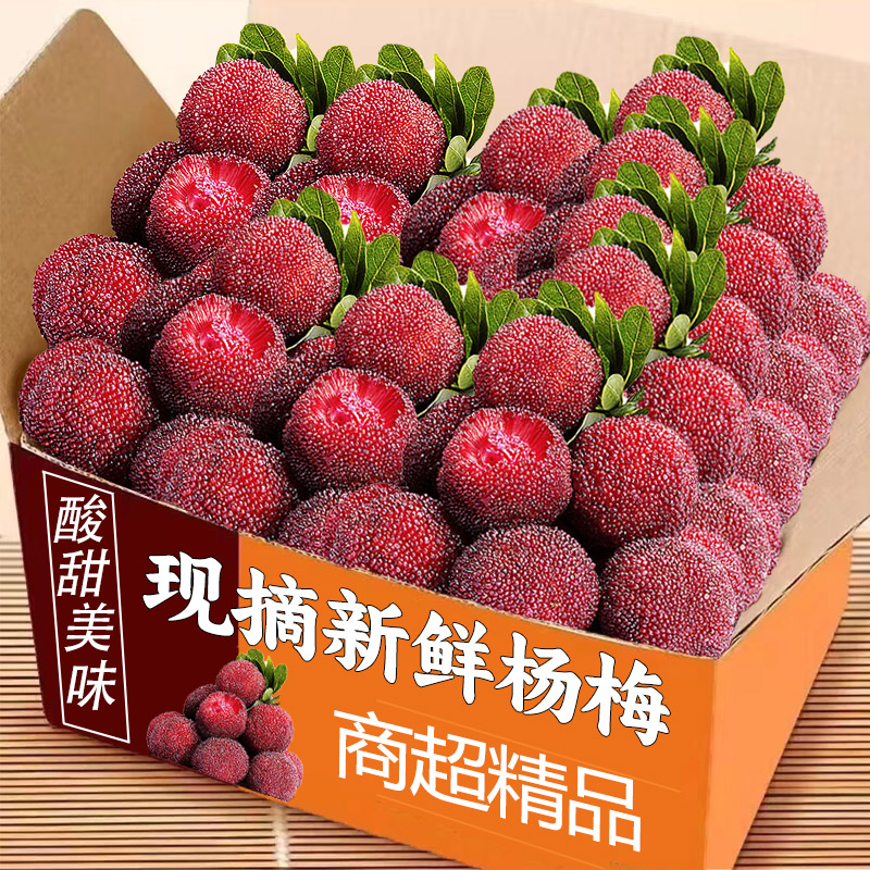 2024年杨梅鲜果4斤现摘发货新鲜现货孕妇新鲜水果整箱酸甜特大果