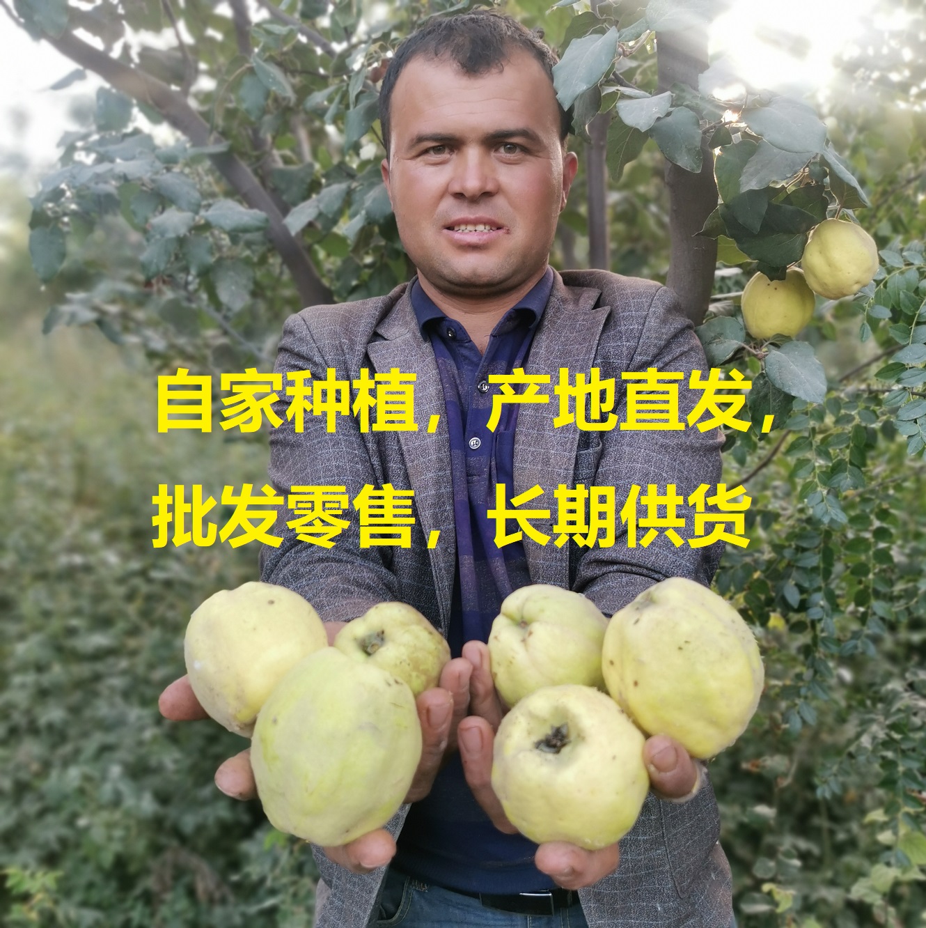 【10月份发货】鹅梨大果2021新疆木瓜10斤温桲榅桲制香鹅梨帐中香