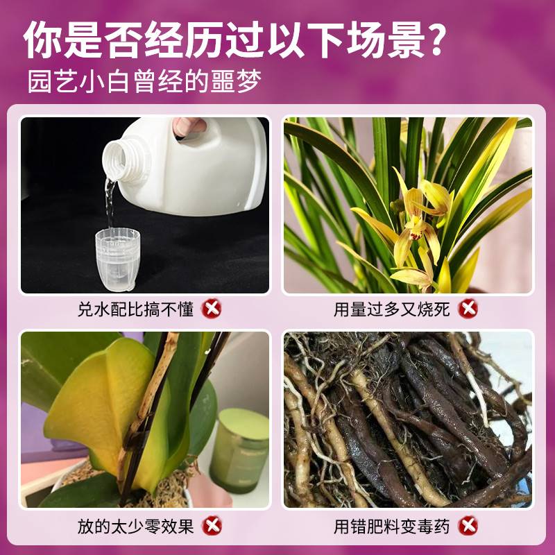 新品免稀释兰花专用营养液肥兰科植物蝴蝶兰君子兰墨兰促开花有机