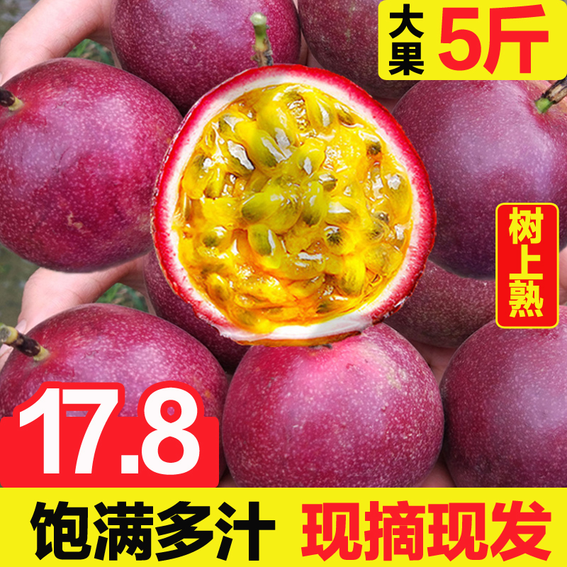 紫皮百香果5斤包邮新鲜现摘应季当季鲜果酸爽孕妇水果云南一整箱