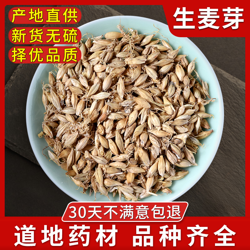 生麦芽回奶500克药材质比同仁堂生大麦芽可搭配生稻芽双芽水