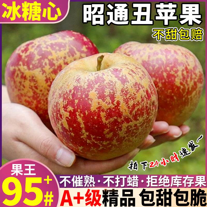 云南昭通丑苹果冰糖心10斤新鲜苹果当季孕妇水果红富士整箱大凉山