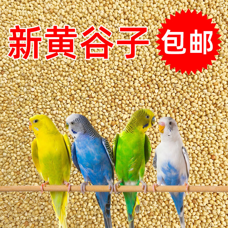 鸟粮新黄谷子中小型鹦鹉饲料食虎皮玄凤牡丹带壳小米食物粮食5斤