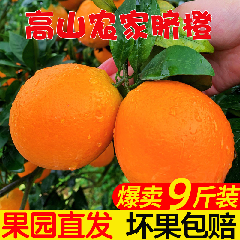 崀山脐橙9斤当季现摘新鲜水果当季整箱手剥甜橙薄皮月汉村橙子