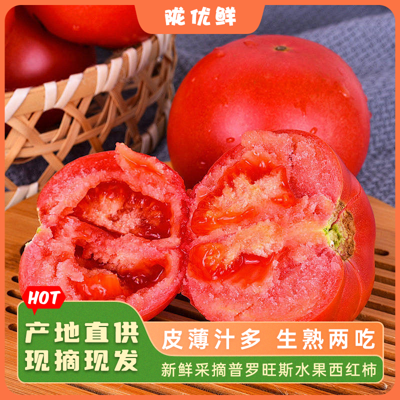 【陇优鲜】陕西普罗旺斯西红柿生吃当季自然熟沙瓤番茄新鲜好吃