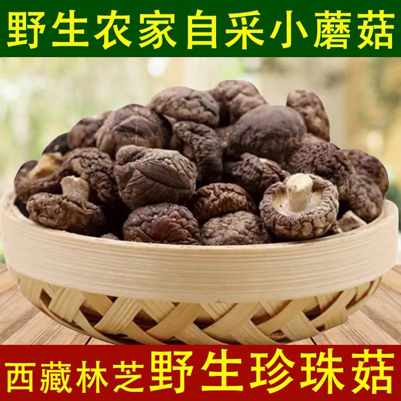 西藏林芝野生珍珠菇小蘑菇香菇野生人工采集自然晾干小香菇250g