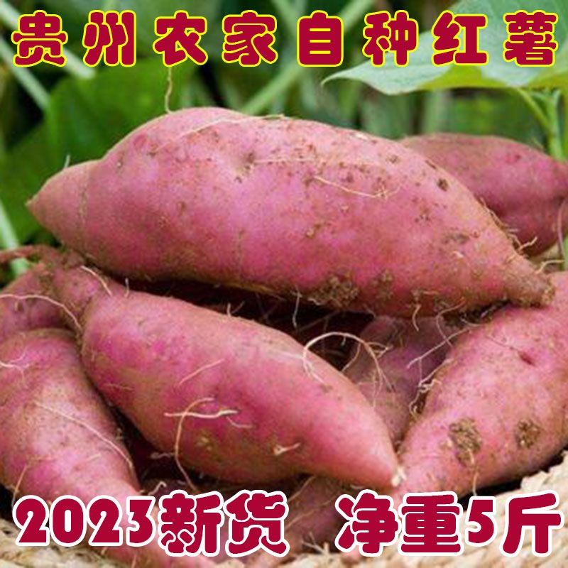 贵州安顺高山黄心红薯养生绿色农家自种板栗蜜薯糖心番薯新鲜9斤