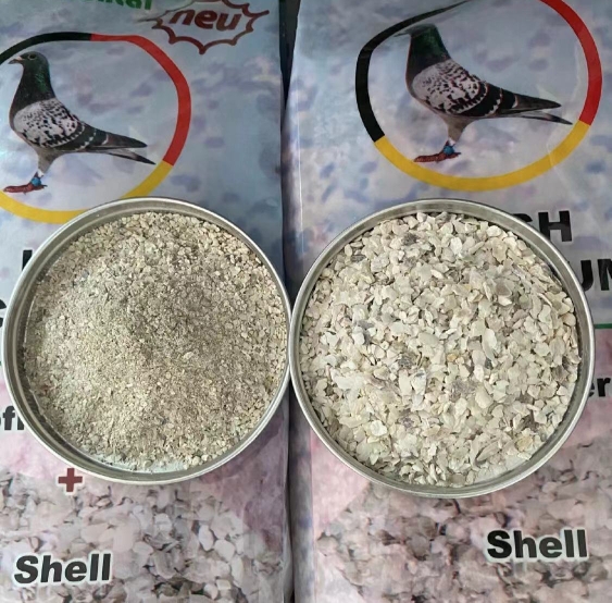 隆飞尔贝壳粉贝壳碎粒鸟鹦鹉鸽子粮鸟食磷钙保健砂补钙增强体质