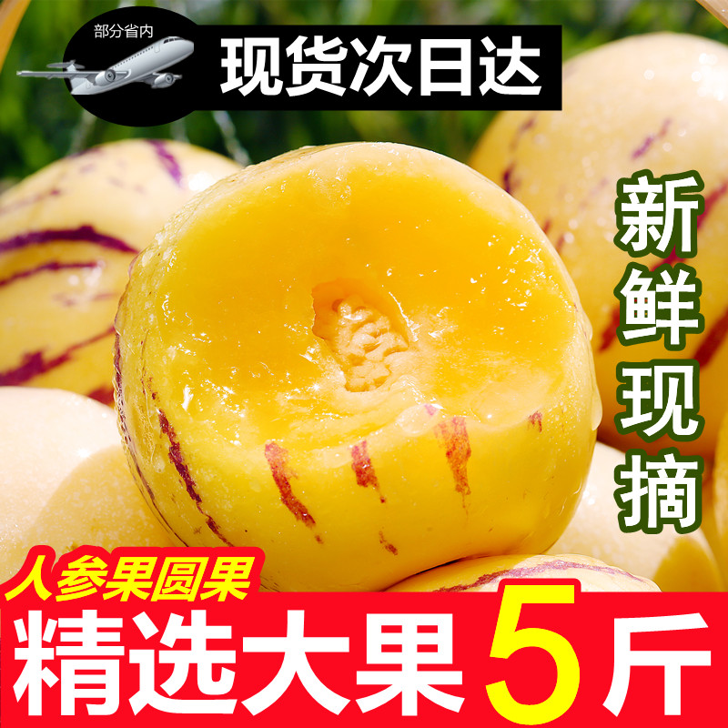 云南石林人参果新鲜现摘5斤应当季孕妇水果树上熟黄肉圆果人生果