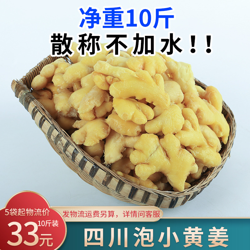 川龙泡生姜袋装泡小黄姜5kg商用散称不加水川老坛泡姜食品