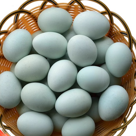 贵州特产三穗麻鸭农家土鸭蛋散养二十枚绿壳鸭蛋发货现捡现发包邮