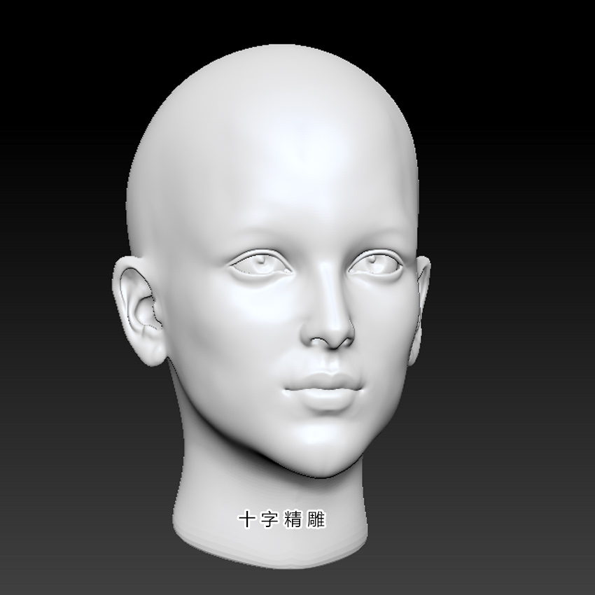 美女stl光头女性模型3dsmax圆雕图zbrush头雕bjd面部3d打印数据