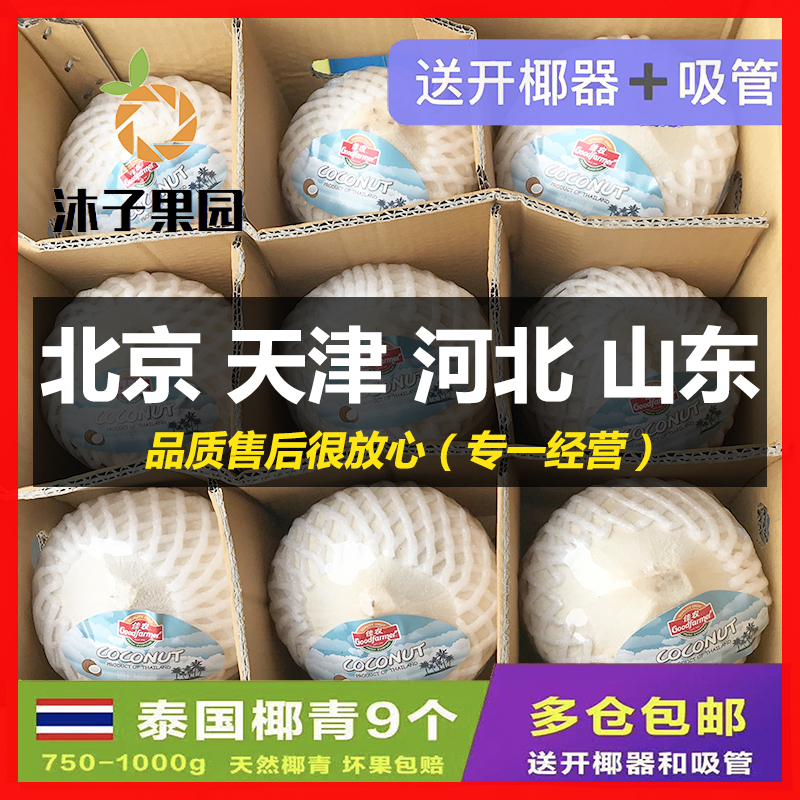 大果900g泰国椰青9颗 佳农奶香椰品牌随机新鲜椰子孕妇水果香水椰