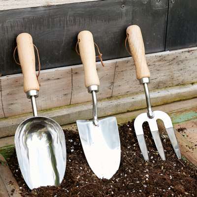 不锈钢铲子 园艺栽培养花园林工具铁锹家用园艺工具三件套装花铲