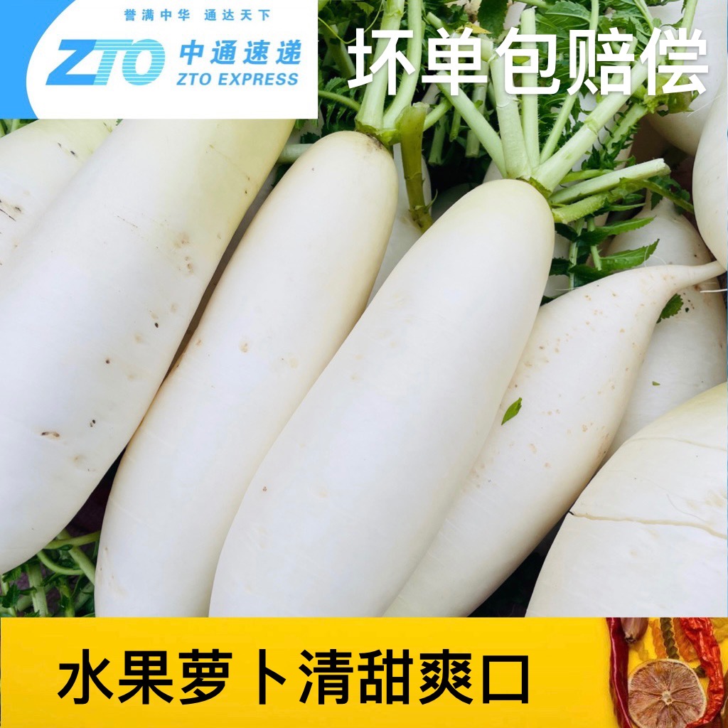 贵州白萝卜农家露天新鲜特色蔬菜清甜可口水果萝卜孕妇蔬菜包邮