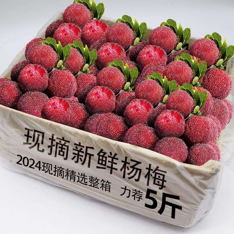 贵州小杨梅鲜果4斤当季新鲜水果荸荠现摘3斤整箱孕妇整箱泡酒包邮