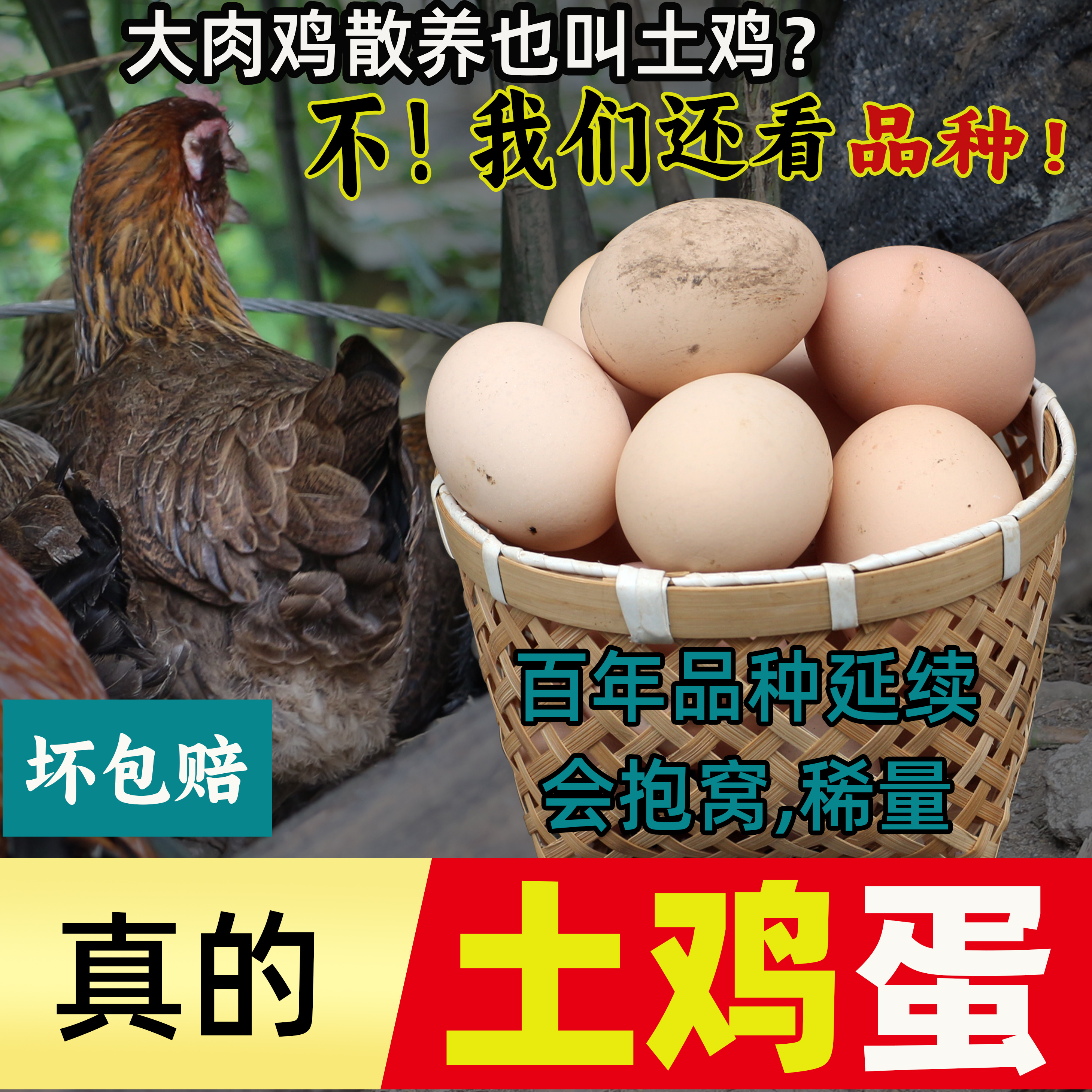 贵州土鸡蛋农家散养蛋新鲜放养月子蛋孕妇儿童鸡蛋30枚山鸡蛋包邮