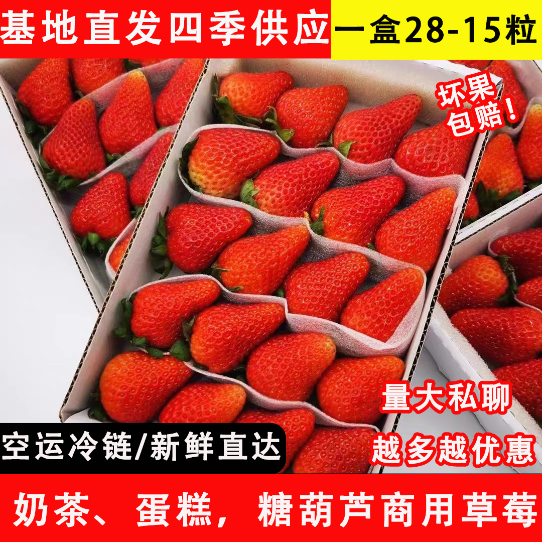 草莓新鲜商用10盒蛋糕奶茶糖葫芦商用双流冬草莓孕妇水果红颜草莓