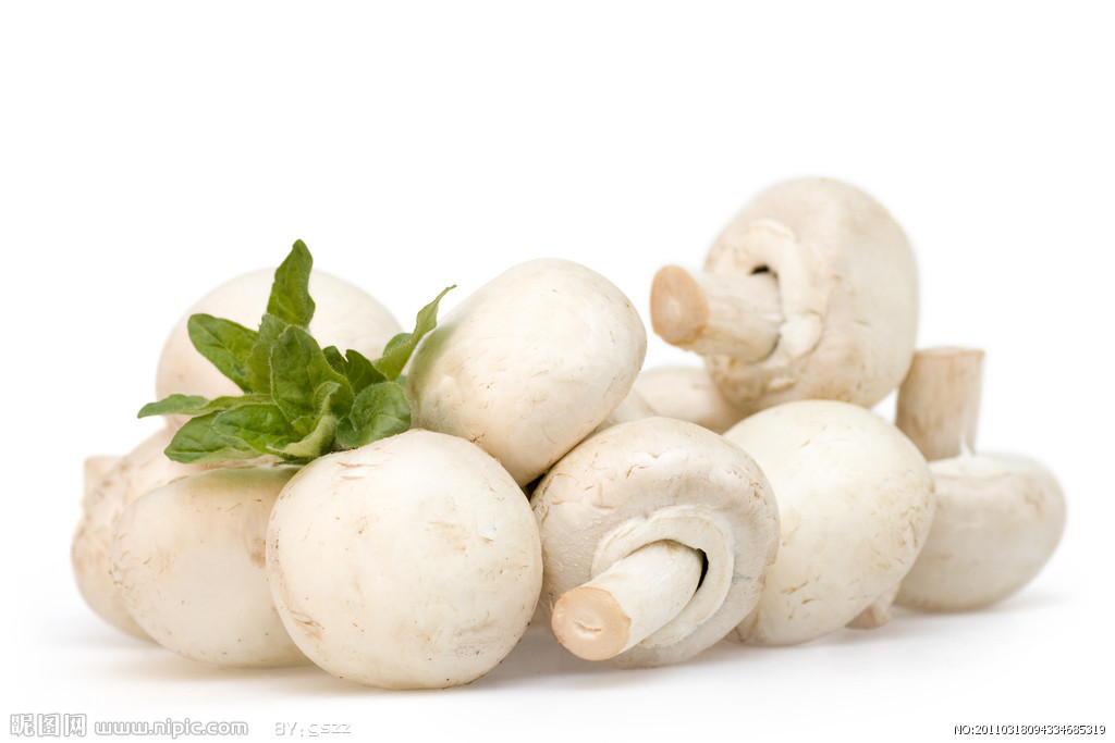 一口田鲜菇 白蘑菇  白菌 双菇孢 食用菌 沙拉  白菇 农家一斤