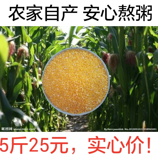 新玉米糁甘肃农家自产新鲜非转基因杂粮纯天然小颗粒玉米糁500g