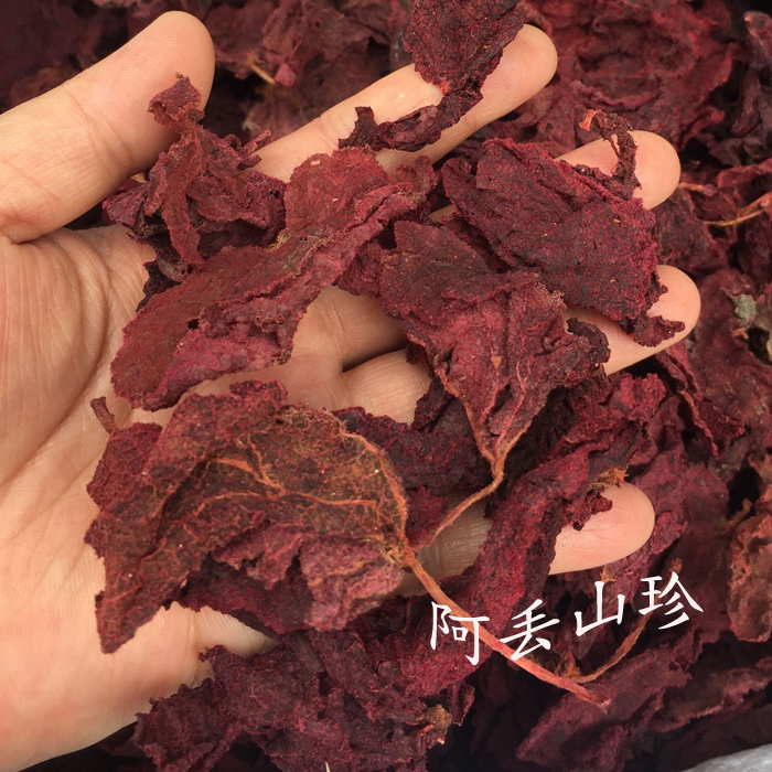 广西金秀传统滋补品其他土特产紫背红天葵茶散血子500g干货包邮