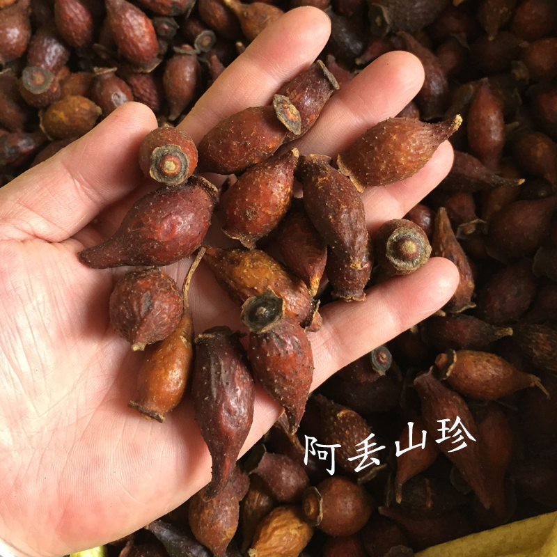 广西盘瑶传统滋补品其他农家土特产金樱果干货刺榆子山石榴250克